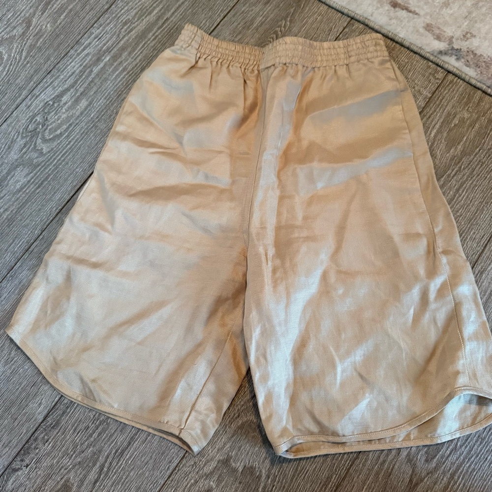 Aritzia shorts